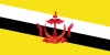 BN_flag